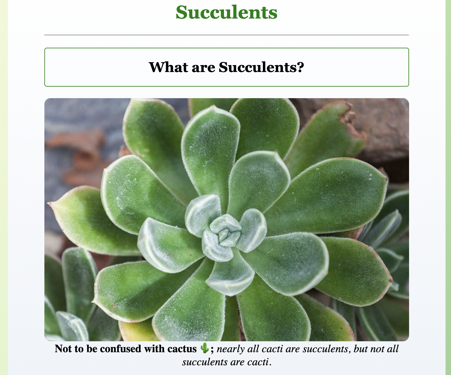 Succulents project preview